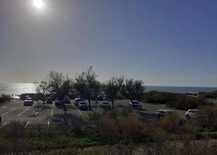 Duplex Face Ocean T2 + Mezzanine A Bretignolles Sur Mer